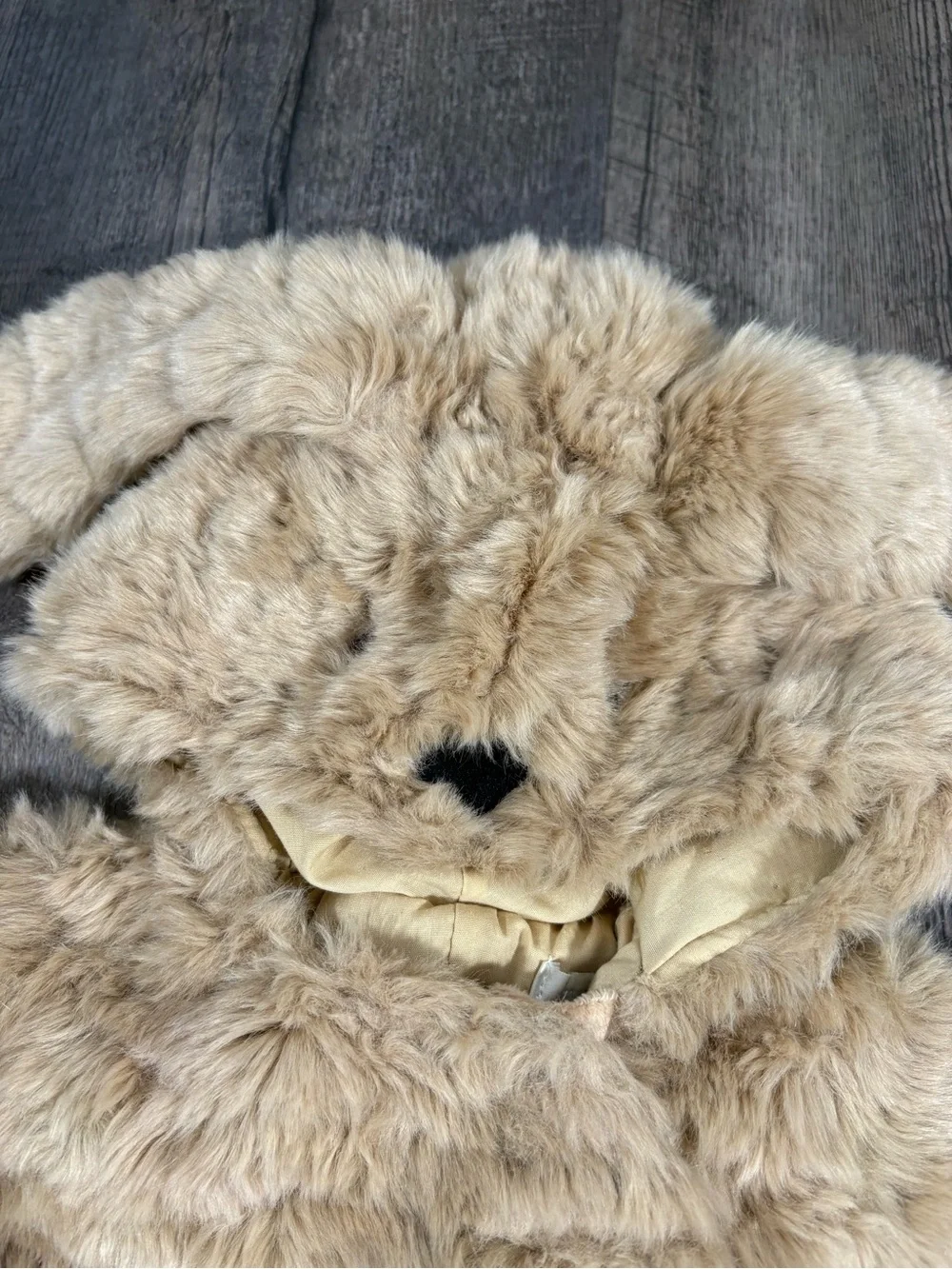 POTTERY BARN Puppy Halloween Costume - Size 0-6 Months